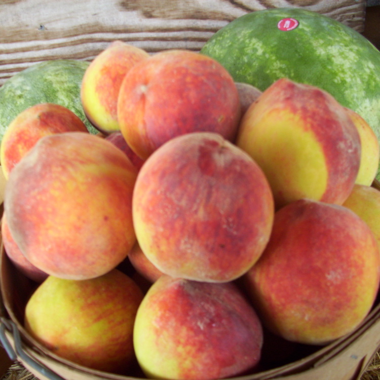 Peaches, cotton expected to make big production gains